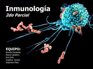 Inmunología
2do Parcial
EQUIPO:
Brenda Escobedo
Eliana Caballero
Ana Ortiz
Angélica Santos
Alejandra Mata
 