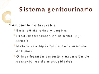 S is tem a g enito urina rio

A m b ie n te n o fa v o r a b le
  B a jo p H d e o r in a y v e g in a
  P r o d u c to s tó x ic o s e n la o r in a (E j.
   U re a )
  N a tu r a le z a h ip e r tó n ic a d e la m é d u la
   d e l r iñ ó n
  O r in a r fr e c u e n te m e n te y e x p u ls ió n d e
   s e c r e c io n e s d e m u c o s id a d e s
 