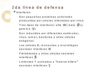 2 d a lí n e a d e d e fe n s a
 In te r fe r o n
   ◦   S o n p e q u e ñ a s p r o te í n a s a n tiv ir a le s
       p r o d u c id a s p o r c é lu la s in fe c ta d a s p o r v ir u s
   ◦   T r e s tip o s d e in te r fe r o n : a lfa (α), b e ta (β) y
       g a m m a (γ).
   ◦   S o n in d u c id o s p o r d ife r e n te s e s tí m u lo s :
       v ir u s , tu m o r , b a c te r ia s y o tr a s c é lu la s
       exógenas
   ◦   L a s c é lu la s B , m o n o c ito s y m a c r ó fa g o s
       s e c r e ta n in te r fe r o n α
   ◦   F ib r o b la s to s y o tr a s c é lu la s s e c r e ta n
       in te r fe r o n β
   ◦   L in fo c ito s T a c tiv a d o s y “n a tu r a l k ille r s ”
       s e c r e ta n in te r fe r o n γ
 