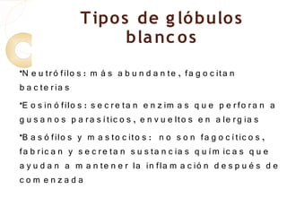 T ipo s de g ló bulo s
                       bla nc o s
•
 N e u tr ó filo s : m á s a b u n d a n te , fa g o c ita n
b a c te r ia s
•E o s in ó filo s : s e c r e ta n e n z im a s q u e p e r fo r a n a

g u s a n o s p a r a s í tic o s , e n v u e lto s e n a le r g ia s
•B a s ó filo s y m a s to c ito s : n o s o n fa g o c í tic o s ,

fa b r ic a n y s e c r e ta n s u s ta n c ia s q u í m ic a s q u e
a y u d a n a m a n te n e r la in fla m a c ió n d e s p u é s d e
com enzada
 