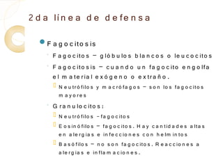 2 d a lí n e a d e d e fe n s a
  F a g o c ito s is
    ◦
        F a g o c ito s – g ló b u lo s b la n c o s o le u c o c ito s
    ◦
        F a g o c ito s is – c u a n d o u n fa g o c ito e n g o lfa
        e l m a te r ia l e x ó g e n o o e x tr a ñ o .
           N e u tr ó filo s y m a c r ó fa g o s – s o n lo s fa g o c ito s
            m a y o re s
    ◦
        G r a n u lo c ito s :
           N e u tr ó filo s - fa g o c ito s
           E o s in ó filo s – fa g o c ito s . H a y c a n tid a d e s a lta s
            e n a le r g ia s e in fe c c io n e s c o n h e lm in to s
           B a s ó filo s – n o s o n fa g o c ito s . R e a c c io n e s a
            a le r g ia s e in fla m a c io n e s .
 