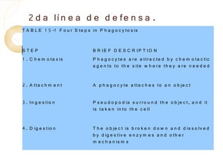 2 d a lí n e a d e d e fe n s a .
T A B L E 1 5 -1 F o u r S te p s in P h a g o c y to s is


STEP                               B R IE F D E S C R IP T IO N
1 . C h e m o ta x is              P h a g o c y te s a r e a ttr a c te d b y c h e m o ta c tic
                                   a g e n ts to th e s ite w h e r e th e y a r e n e e d e d

2 . A tta c h m e n t              A p h a g o c y te a tta c h e s to a n o b je c t

3 . In g e s tio n                 P s e u d o p o d ia s u r r o u n d th e o b je c t, a n d it
                                   is ta k e n in to th e c e ll

4 . D ig e s tio n                 T h e o b je c t is b r o k e n d o w n a n d d is s o lv e d
                                   b y d ig e s tiv e e n z y m e s a n d o th e r
                                   m e c h a n is m s
 