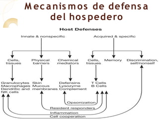 M ec a nis m o s de defens a
      del ho s pedero
 