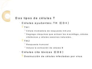 D o s tip o s d e c é lu la s T
   ◦
       C é lu la s a y u d a n te s : T H (C D 4 )
          TH1
           
               C é lu la m e d ia d o r a d e r e s p u e s ta in m u n e
           
               S e g r e g a c ito q u in a s q u e a c tiv a n lo s m a c r ó fa g o , c é lu la s
               c ito tó x ic a s y c é lu la s a s e s in a s n a tu r a le s .
          TH2
           
               R e s p u e s ta h u m o r a l
           
               In d u c e la a c tiv a c ió n d e c é lu la s B
   ◦
       C é lu la s c ito tó x ic a s (C D 8 )
          D e s tr u c c ió n d e c é lu la s in fe c ta d a s p o r v ir u s
 