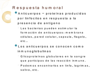 R e s p u e s ta h u m o r a l
 A n tic u e r p o s  – p r o te í n a s p r o d u c id a s
   p o r lin fo c ito s e n r e s p u e s ta a la
   p r e s e n c ia d e a n tí g e n o
   ◦
       L a s b a c te r ia s p u e d e n e s tim u la r la
       fo r m a c ió n d e a n tic u e r p o s : m e m b r a n a
       c é lu la s , p a r e d c e lu la r , c a p s u la , fla g e lo ,
       e tc ..
 L o s  a n tic u e r p o s s e c o n o c e n c o m o
   in m u n o g lo b u lin a s
   ◦
       G lic o p r o te í n a s g lo b u la r e s e n la s a n g r e
       q u e p a r tic ip a s d e la s r e a c c ió n in m u n e .
   ◦
       P o d e m o s e n c o n tr a r lo s e n lin fa , la g r im a s ,
       s a liv a , e tc .
 
