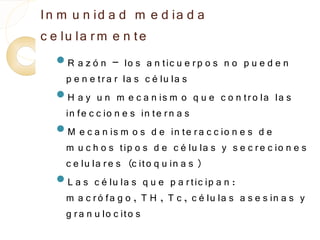 In m u n id a d m e d ia d a
c e lu la r m e n te
  R  a z ó n – lo s a n tic u e r p o s n o p u e d e n
   p e n e tr a r la s c é lu la s
  H a y u n m e c a n is m o q u e c o n tr o la la s
   in fe c c io n e s in te r n a s
  M e c a n is m o s d e in te r a c c io n e s d e
   m u c h o s tip o s d e c é lu la s y s e c r e c io n e s
   c e lu la r e s (c ito q u in a s )
  L a s c é lu la s q u e p a r tic ip a n :
   m a c r ó fa g o , T H , T c , c é lu la s a s e s in a s y
   g r a n u lo c ito s
 