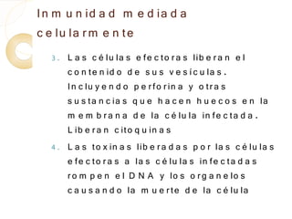 In m u n id a d m e d ia d a
c e lu la r m e n te
  3.  L a s c é lu la s e fe c to r a s lib e r a n e l
      c o n te n id o d e s u s v e s í c u la s .
      In c lu y e n d o p e r fo r in a y o tr a s
      s u s ta n c ia s q u e h a c e n h u e c o s e n la
      m e m b r a n a d e la c é lu la in fe c ta d a .
      L ib e r a n c ito q u in a s
  4 . L a s to x in a s lib e r a d a s p o r la s c é lu la s
      e fe c to r a s a la s c é lu la s in fe c ta d a s
      r o m p e n e l D N A y lo s o r g a n e lo s
      c a u s a n d o la m u e r te d e la c é lu la
 
