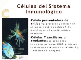 C élula s del S is tem a
    I nm uno ló g ic o
      •C élula pres enta do ra de
      a ntíg eno : p r o c e s a n y e x h ib e n u n
      a n tí g e n o y a c tiv a n c é lu la s T E j.
      M a c r ó fa g o s , c é lu la s B , c é lu la s
      d e n d r ita s
      •C élula s T a ux ilia res o

      a yuda ntes : s e u n e n a lo s
      c o m p le jo s a n tí g e n o -M H C , p r o d u c e n
      s e ñ a le s q u e d ife r e n c ia n a c é lu la s B y
      T s e n s ib le s a l a n tí g e n o
 