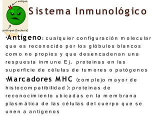 S is tem a I nm uno ló g ic o

•A ntíg eno : c u a lq u ie r c o n fig u r a c ió n m o le c u la r
q u e e s r e c o n o c id o p o r lo s g ló b u lo s b la n c o s
c o m o n o p r o p io s y q u e d e s e n c a d e n a n u n a
r e s p u e s ta in m u n e E j. p r o te in a s e n la s
s u p e r fic ie d e c é lu la s d e tu m o r e s o p a tó g e n o s
•M a rc a do res M H C (c o m p le jo m a y o r d e

h is to c o m p a tib ilid a d ): p r o te in a s d e
r e c o n o c im ie n to u b ic a d a s e n la m e m b r a n a
p la s m á tic a d e la s c é lu la s d e l c u e r p o q u e s e
u n e n a a n tí g e n o s
 