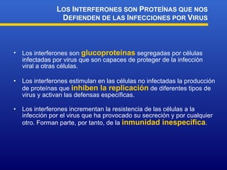Los interferones  son   gluco proteínas  se g re g adas por células infectadas por virus que son capaces de proteger de la infección viral a otras células . Los interferones  estimulan en las células no infectadas la producción de proteínas que  inhiben la replicación  de diferentes tipos de virus  y activan las defensas específicas . Los interferones incrementan la resistencia de las células a la infección por el virus que ha provocado su secreción y por cualquier otro. Forman parte, por tanto, de la  inmunidad inespecífica . L OS  I NTERFERONES SON  P ROTEÍNAS QUE NOS  D EFIENDEN DE LAS  I NFECCIONES POR  V IRUS 