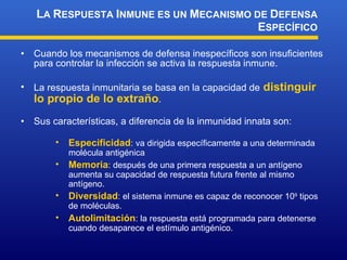 Cuando los mecanismos de defensa inespecíficos son insuficientes para controlar la infección se activa la respuesta inmune. La respuesta inmunitaria se basa en la capacidad de  distinguir lo propio de lo extraño . Sus características, a diferencia de la inmunidad innata son: L A  R ESPUESTA  I NMUNE ES UN  M ECANISMO DE  D EFENSA  E SPECÍFICO Especificidad : va dirigida específicamente a una determinada molécula antigénica Memoria : después de una primera respuesta a un antígeno aumenta su capacidad de respuesta futura frente al mismo antígeno. Diversidad : el sistema inmune es capaz de reconocer 10 9  tipos de moléculas. Autolimitación : la respuesta está programada para detenerse cuando desaparece el estímulo antigénico. 