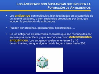 Los  antígenos  son moléculas, bien localizadas en la superficie de un agente patógeno, o bien sustancias producidas por éste, que inducen la producción de anticuerpos. Pueden ser proteínas, polisacáridos, lipoproteínas, ... En los antígenos existen zonas concretas que son reconocidas por anticuerpos específicos y que se conocen como  determinantes antigénicos . Los antígenos suelen tener entre 5 y 10 determinantes, aunque alguno puede llegar a tener hasta 200. L OS  A NTÍGENOS SON  S USTANCIAS QUE  I NDUCEN LA  F ORMACIÓN DE  A NTICUERPOS 
