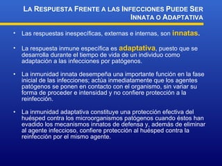 Las respuestas inespecíficas, externas e internas, son  innatas . La  respuesta inmune  específica es  adaptativa , puesto que  se desarrolla  durante el tiempo de vida de un individuo como adaptación a las infecciones por patógenos . La inmunidad innata desempeña una importante función en la fase inicial de las infecciones; actúa inmediatamente que los agentes patógenos se ponen en contacto con el organismo, sin variar su forma de proceder e intensidad y no confiere protección a la reinfección. La inmunidad adaptativa constituye una protección efectiva del  huésped  contra los microorganismos patógenos cuando éstos han evadido los mecanismos innatos de defensa y ,  además de eliminar al agente infeccioso, confiere protección al  huésped  contra la reinfección por el mismo agente.   L A  R ESPUESTA  F RENTE A LAS  I NFECCIONES  P UEDE  S ER  I NNATA O  A DAPTATIVA 