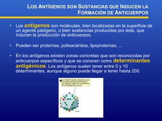 Los  antígenos  son moléculas, bien localizadas en la superficie de un agente patógeno, o bien sustancias producidas por éste, que inducen la producción de anticuerpos. Pueden ser proteínas, polisacáridos, lipoproteínas, ... En los antígenos existen zonas concretas que son reconocidas por anticuerpos específicos y que se conocen como  determinantes antigénicos . Los antígenos suelen tener entre 5 y 10 determinantes, aunque alguno puede llegar a tener hasta 200. L OS  A NTÍGENOS SON  S USTANCIAS QUE  I NDUCEN LA  F ORMACIÓN DE  A NTICUERPOS 