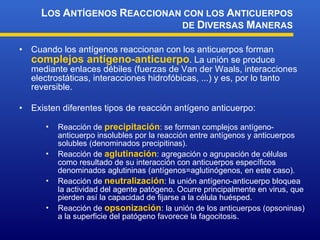 Cuando los antígenos reaccionan con los anticuerpos forman  complejos antígeno-anticuerpo . La unión se produce mediante enlaces débiles (fuerzas de Van der Waals, interacciones electrostáticas, interacciones hidrofóbicas, ...) y es, por lo tanto reversible. Existen diferentes tipos de reacción antígeno anticuerpo: L OS  A NTÍGENOS  R EACCIONAN CON LOS  A NTICUERPOS DE  D IVERSAS  M ANERAS Reacción de  precipitación :  se forman complejos antígeno-anticuerpo insolubles por la reacción entre antígenos   y anticuerpos solubles  (denominados precipitinas) . Reacción de  aglutinación : a gregación o agrupación de células como resultado de su interacción con anticuerpos específicos denominados aglutininas  (antígenos=aglutinógenos, en este caso). Reacción de  neutralización : la unión antígeno-anticuerpo bloquea la actividad del agente patógeno. Ocurre principalmente en virus, que pierden así la capacidad de fijarse a la célula huésped. Reacción de  opsonización : la unión de los anticuerpos (opsoninas) a la superficie del patógeno favorece la fagocitosis. 