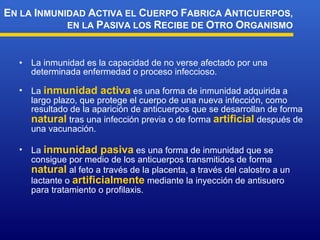 La inmunidad es la capacidad de  no verse afectado por una determinada enfermedad o proceso  infeccioso. La  inmunidad activa  es una f orma de inmunidad adquirida a largo plazo, que protege el cuerpo de una nueva infección, como resultado de la aparición de anticuerpos que se desarrollan de forma  natural  tras una infección previa o de forma  artificial  después de una vacunación. La  inmunidad pasiva  es una f orma de inmunidad que se consigue por medio de los anticuerpos transmitidos de forma  natural  al feto a través de la placenta, a través del calostro a un lactante o  artificialmente  mediante la inyección de antisuero para tratamiento o profilaxis. E N LA  I NMUNIDAD  A CTIVA EL  C UERPO  F ABRICA  A NTICUERPOS, EN LA  P ASIVA LOS  R ECIBE DE  O TRO  O RGANISMO 