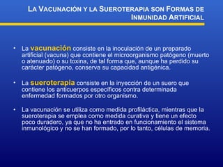 La  vacunación  consiste en la inoculación de un preparado artificial (vacuna) que contiene el microorganismo patógeno (muerto o atenuado) o su toxina, de tal forma que, aunque ha perdido su carácter patógeno, conserva su capacidad antigénica.  La  sueroterapia  consiste en la inyección de un suero que contiene los anticuerpos específicos contra determinada enfermedad formados por otro organismo.  La vacunación se utiliza como medida profiláctica, mientras que la sueroterapia se emplea como medida curativa y tiene un efecto poco duradero, ya que no ha entrado en funcionamiento el sistema inmunológico y no se han formado, por lo tanto, células de memoria. L A  V ACUNACIÓN Y LA  S UEROTERAPIA SON  F ORMAS DE  I NMUNIDAD  A RTIFICIAL 