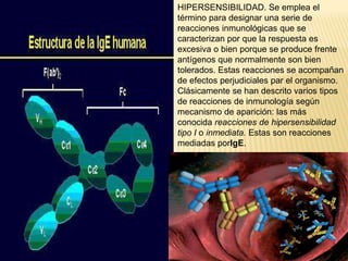 HIPERSENSIBILIDAD. Se emplea el término para designar una serie de reacciones inmunológicas que se caracterizan por que la respuesta es excesiva o bien porque se produce frente antígenos que normalmente son bien tolerados. Estas reacciones se acompañan de efectos perjudiciales par el organismo.Clásicamente se han descrito varios tipos de reacciones de inmunología según mecanismo de aparición: las más conocida reacciones de hipersensibilidad tipo I o inmediata. Estas son reacciones mediadas porIgE.