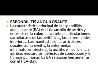 ESPONDILITIS ANQUILOSANTE La característica principal de la espondilitis anquilosante (EA) es el desarrollo de artritis y entesitis en la columna vertebral, articulaciones sacroliacas y de las periféricas, las extremidades inferiores. Las manifestaciones articulares usuales son la uveítis, la enfermedad inflamatoria intestinal, la aortitis e insuficiencia aórtica, miocarditis, defectos de conducción y la fibrosis pulmonar. La EA se asocia fuertemente con el HLA-B27.