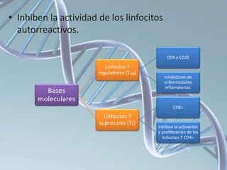 • Inhiben la actividad de los linfocitos
autorreactivos.
Bases
moleculares
Linfocitos T
reguladores (Treg)
CD4 y CD25
Inhibidores de
enfermedades
inflamatorias.
Linfocitos T
supresores (Ts)
CD8
Inhiben la activación
y proliferación de los
linfocitos T CD4
 