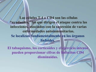 Las células T-4 o CD4 son las células
“ayudantes,” las que dirigen el ataque contra las
infecciones, asociados con la supresión de varias
enfermedades autoinmunitarias.
Se localizan fundamentalmente en los órganos
linfoides.
El tabaquismo, los corticoides y el ejercicio intenso
pueden proporcionar cifras de linfocitos CD4
disminuidas.
 