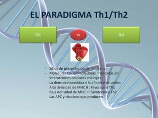 EL PARADIGMA Th1/Th2
Th1 Th2
Vs
- Sitios de presentación del antígeno
- Moléculas Co- estimuladoras implicadas en
interacciones celulares análogas
- La densidad peptídica y la afinidad de unión:
Alta densidad de MHC II : Favorece a Th1
Baja densidad de MHC II: Favorecen a Th2
- Las APC y citocinas que producen
 
