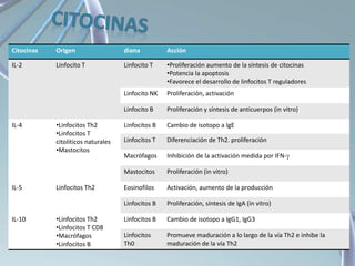 Citocinas Origen diana Acción
IL-2 Linfocito T Linfocito T •Proliferación aumento de la síntesis de citocinas
•Potencia la apoptosis
•Favorece el desarrollo de linfocitos T reguladores
Linfocito NK Proliferación, activación
Linfocito B Proliferación y síntesis de anticuerpos (in vitro)
IL-4 •Linfocitos Th2
•Linfocitos T
citoliticos naturales
•Mastocitos
Linfocitos B Cambio de isotopo a IgE
Linfocitos T Diferenciación de Th2. proliferación
Macrófagos Inhibición de la activación medida por IFN-
Mastocitos Proliferación (in vitro)
IL-5 Linfocitos Th2 Eosinofilos Activación, aumento de la producción
Linfocitos B Proliferación, síntesis de IgA (in vitro)
IL-10 •Linfocitos Th2
•Linfocitos T CD8
•Macrófagos
•Linfocitos B
Linfocitos B Cambio de isotopo a IgG1, IgG3
Linfocitos
Th0
Promueve maduración a lo largo de la vía Th2 e inhibe la
maduración de la vía Th2
 