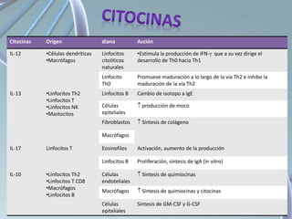 Citocinas Origen diana Acción
IL-12 •Células dendríticas
•Macrófagos
Linfocitos
citolíticos
naturales
•Estimula la producción de IFN- que a su vez dirige el
desarrollo de Th0 hacia Th1
Linfocito
Th0
Promueve maduración a lo largo de la vía Th2 e inhibe la
maduración de la vía Th2
IL-13 •Linfocitos Th2
•Linfocitos T
•Linfocitos NK
•Mastocitos
Linfocitos B Cambio de isotopo a IgE
Células
epiteliales
 producción de moco
Fibroblastos  Síntesis de colágeno
Macrófagos
IL-17 Linfocitos T Eosinofilos Activación, aumento de la producción
Linfocitos B Proliferación, síntesis de IgA (in vitro)
IL-10 •Linfocitos Th2
•Linfocitos T CD8
•Macrófagos
•Linfocitos B
Células
endoteliales
 Síntesis de quimiocinas
Macrófagos  Síntesis de quimiocinas y citocinas
Células
epiteliales
Síntesis de GM-CSF y G-CSF
 
