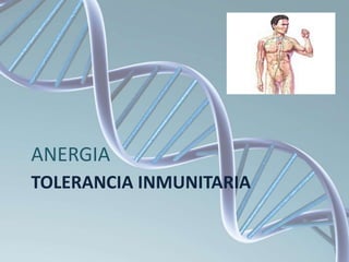 TOLERANCIA INMUNITARIA
ANERGIA
 