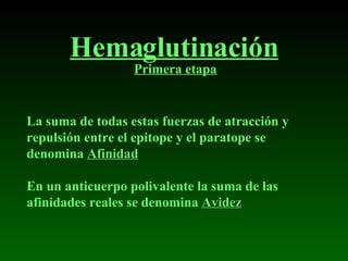 Hemaglutinación La suma de todas estas fuerzas de atracción y repulsión entre el epitope y el paratope se denomina  Afinidad En un anticuerpo polivalente la suma de las afinidades reales se denomina  Avidez Primera etapa 