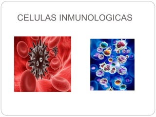 CELULAS INMUNOLOGICAS
 