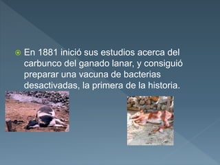  En 1881 inició sus estudios acerca del
carbunco del ganado lanar, y consiguió
preparar una vacuna de bacterias
desactivadas, la primera de la historia.
 
