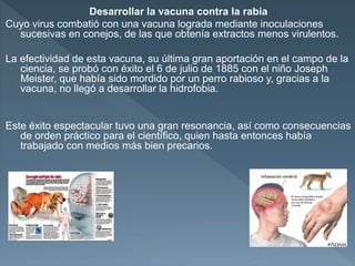 Desarrollar la vacuna contra la rabia
Cuyo virus combatió con una vacuna lograda mediante inoculaciones
sucesivas en conejos, de las que obtenía extractos menos virulentos.
La efectividad de esta vacuna, su última gran aportación en el campo de la
ciencia, se probó con éxito el 6 de julio de 1885 con el niño Joseph
Meister, que había sido mordido por un perro rabioso y, gracias a la
vacuna, no llegó a desarrollar la hidrofobia.
Este éxito espectacular tuvo una gran resonancia, así como consecuencias
de orden práctico para el científico, quien hasta entonces había
trabajado con medios más bien precarios.
 