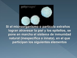 Si el microorganismo o partícula extraños
logran atravesar la piel y los epitelios, se
pone en marcha el sistema de inmunidad
natural (inespecífica o innata), en el que
participan los siguientes elementos
 
