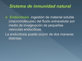  Endocitosis .ingestión de material soluble
(macromoléculas) del fluido extracelular por
medio de invaginación de pequeñas
vesículas endocíticas.
La endocitosis puede ocurrir de dos maneras
distintas:
 