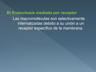 B) Endocitosis mediada por receptor
Las macromoléculas son selectivamente
internalizadas debido a su unión a un
receptor específico de la membrana.
 