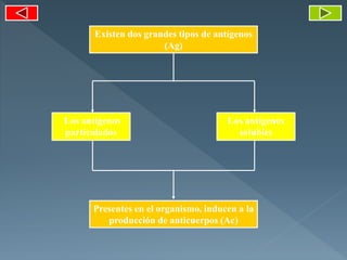 Presentes en el organismo, inducen a la
producción de anticuerpos (Ac)
Los antígenos
solubles
Los antígenos
particulados
Existen dos grandes tipos de antígenos
(Ag)
 