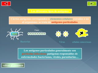 Los diferentes tipos de antígenos
Los antígenos particulados generalmente son
partículas infecciosas patógenas responsables de
enfermedades bacterianas, virales, parasitarias…
Ciertos antígenos corresponden a elementos celulares extraños o no
al organismo: se trata de antígenos particulados
Bacterias Virus células cancerosas
volver al resumen
Bacilo
Coco
 