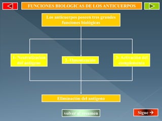 FUNCIONES BIOLOGICAS DE LOS ANTICUERPOS
Eliminación del antígeno
Los anticuerpos poseen tres grandes
funciones biológicas
2- Opsonización
volver al resumen
1- Neutralización
del antígeno
3- Activación del
complemento
Sigue 
 
