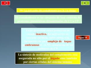 III- La activación del complemento por la vía clásica
El complemento es un conjunto de una veintena de
proteínas plasmáticas denominadas de C1 a C9
La síntesis de moléculas del complemento está
asegurada no sólo por el hígado sino también
por ciertas células del sistema inmune
Estas proteínas están presentes en
estado inactivo. Su activación en
cascada permite, entre otras, a la
formación de un complejo de ataque
membranoso (C.A.M) compuesto de un
polímero de C9
Sigue 
 