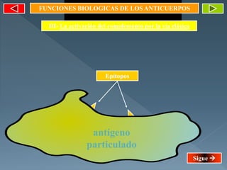 FUNCIONES BIOLOGICAS DE LOS ANTICUERPOS
III- La activación del complemento por la vía clásica
antígeno
particulado
Epítopos
Sigue 
 