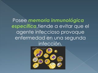 Posee memoria inmunológica específica,tiende a evitar que el agente infeccioso provoque enfermedad en una segunda infección.