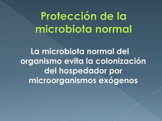 Protección de la microbiota normalLa microbiota normal del organismo evita la colonización del hospedador por microorganismos exógenos
