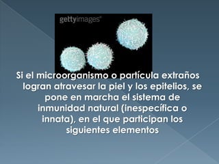 Si el microorganismo o partícula extraños logran atravesar la piel y los epitelios, se pone en marcha el sistema de inmunidad natural (inespecífica o innata), en el que participan los siguientes elementos