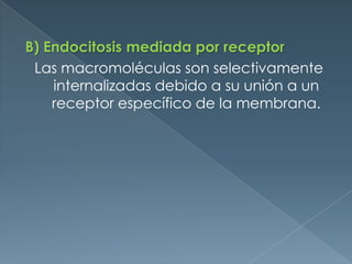 B) Endocitosis mediada por receptorLas macromoléculas son selectivamente internalizadas debido a su unión a un receptor específico de la membrana.
