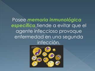 Posee memoria inmunológica específica,tiende a evitar que el agente infeccioso provoque enfermedad en una segunda infecció...