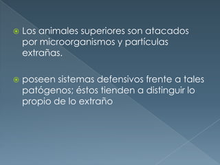 Los animales superiores son atacados por microorganismos y partículas extrañas. <br />poseen sistemas defensivos frente a ...