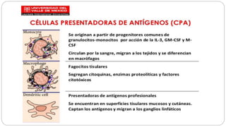 Celulas presentadoras de Ag
 