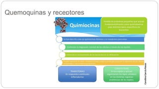 Quemoquinas y receptores
 