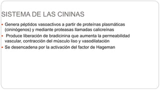 SISTEMA DE LAS CININAS
 Genera péptidos vasoactivos a partir de proteínas plasmáticas
(cininógenos) y mediante proteasas llamadas calicreínas
 Produce liberación de bradicinina que aumenta la permeabilidad
vascular, contracción del músculo liso y vasodilatación
 Se desencadena por la activación del factor de Hageman
 